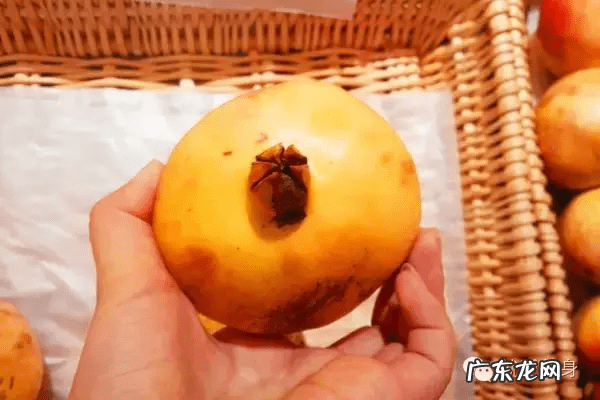 石榴的好处有哪些 石榴的的好处