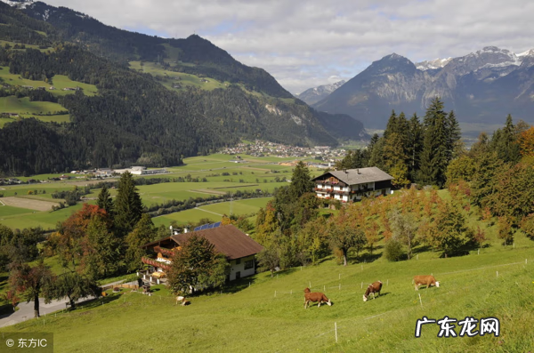 生龙口葬法 阴宅葬在龙什么位置好