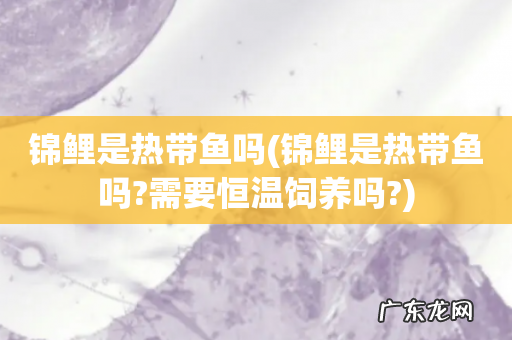 锦鲤是热带鱼吗?需要恒温饲养吗? 锦鲤是热带鱼吗