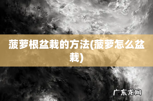 菠萝怎么盆栽 菠萝根盆栽的方法