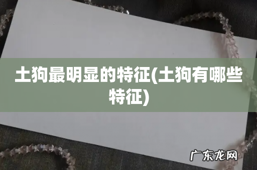 土狗有哪些特征 土狗最明显的特征