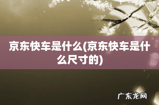 京东快车是什么尺寸的 京东快车是什么