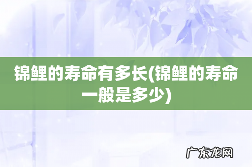 锦鲤的寿命一般是多少 锦鲤的寿命有多长