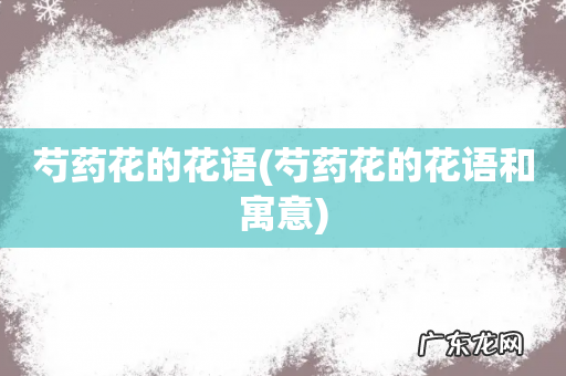 芍药花的花语和寓意 芍药花的花语