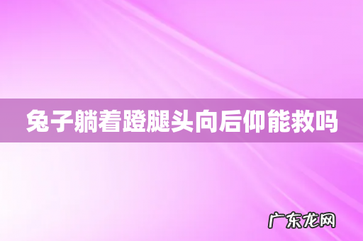 兔子躺着蹬腿头向后仰能救吗