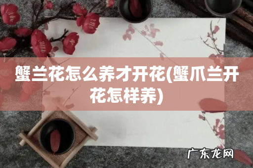 蟹爪兰开花怎样养 蟹兰花怎么养才开花