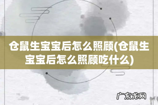 仓鼠生宝宝后怎么照顾吃什么 仓鼠生宝宝后怎么照顾