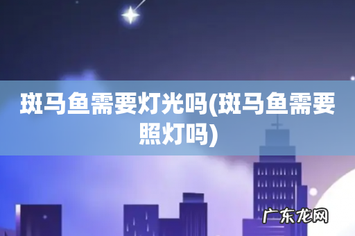 斑马鱼需要照灯吗 斑马鱼需要灯光吗