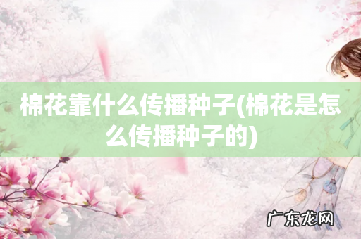 棉花是怎么传播种子的 棉花靠什么传播种子