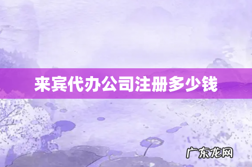 来宾代办公司注册多少钱