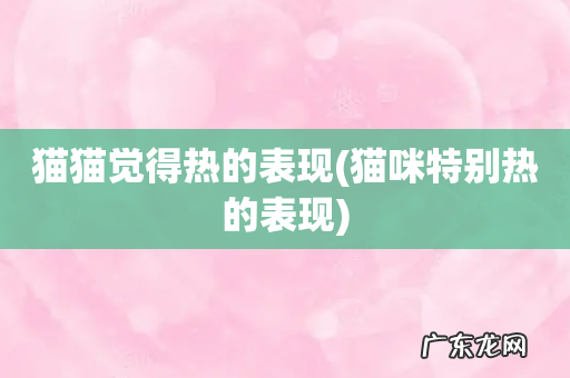 猫咪特别热的表现 猫猫觉得热的表现