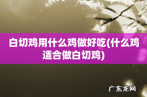 什么鸡适合做白切鸡 白切鸡用什么鸡做好吃