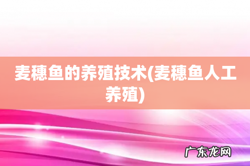 麦穗鱼人工养殖 麦穗鱼的养殖技术