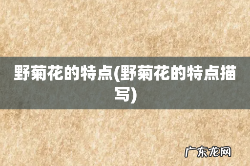 野菊花的特点描写 野菊花的特点