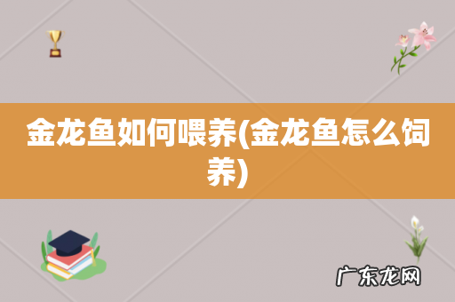 金龙鱼怎么饲养 金龙鱼如何喂养