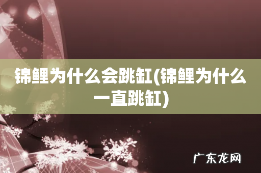 锦鲤为什么一直跳缸 锦鲤为什么会跳缸
