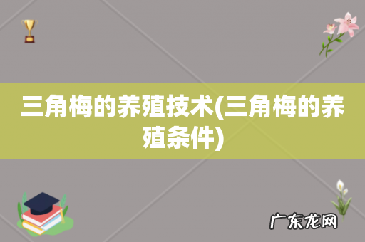 三角梅的养殖条件 三角梅的养殖技术