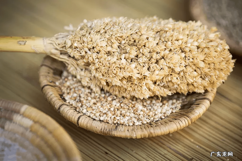 杂粮类有哪些食物 杂粮有哪些品种