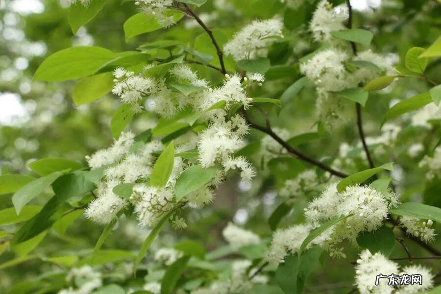 日照市东港区医院 日照东港区算命哪里准