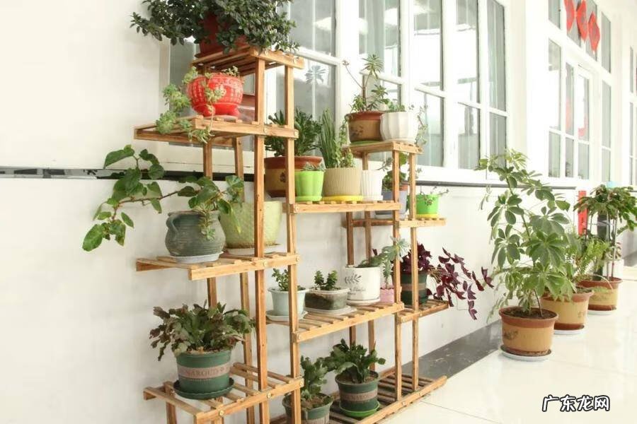 日照市东港区医院 日照东港区算命哪里准