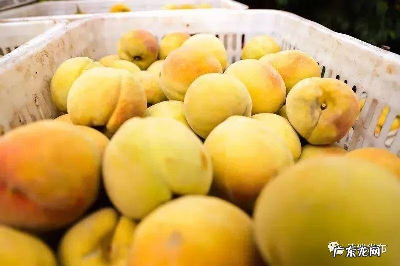 日照市东港区医院 日照东港区算命哪里准