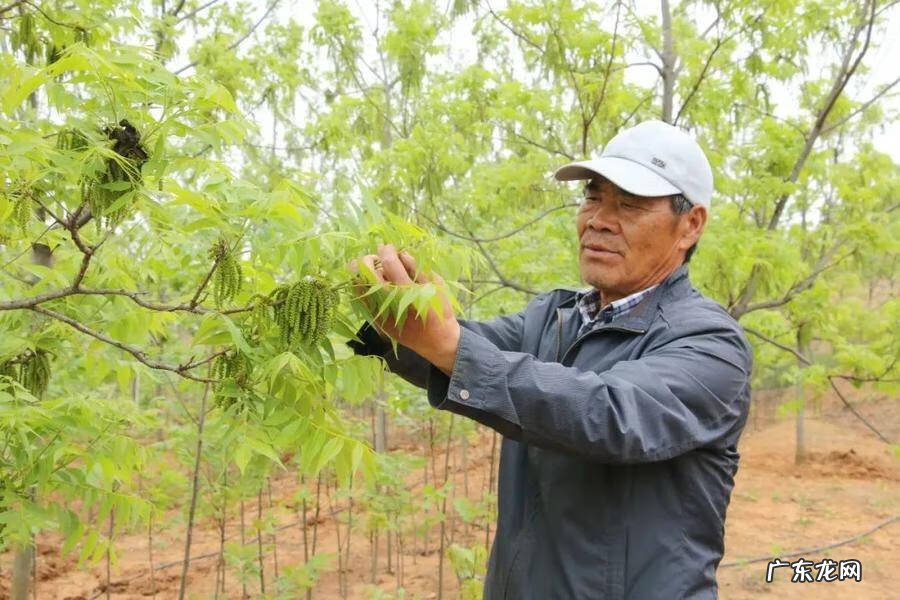 日照市东港区医院 日照东港区算命哪里准