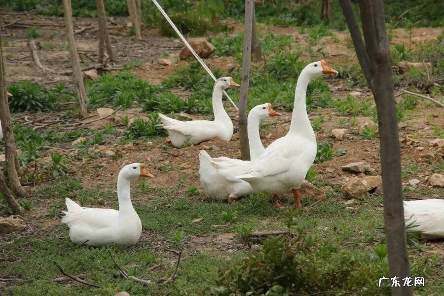 日照市东港区医院 日照东港区算命哪里准