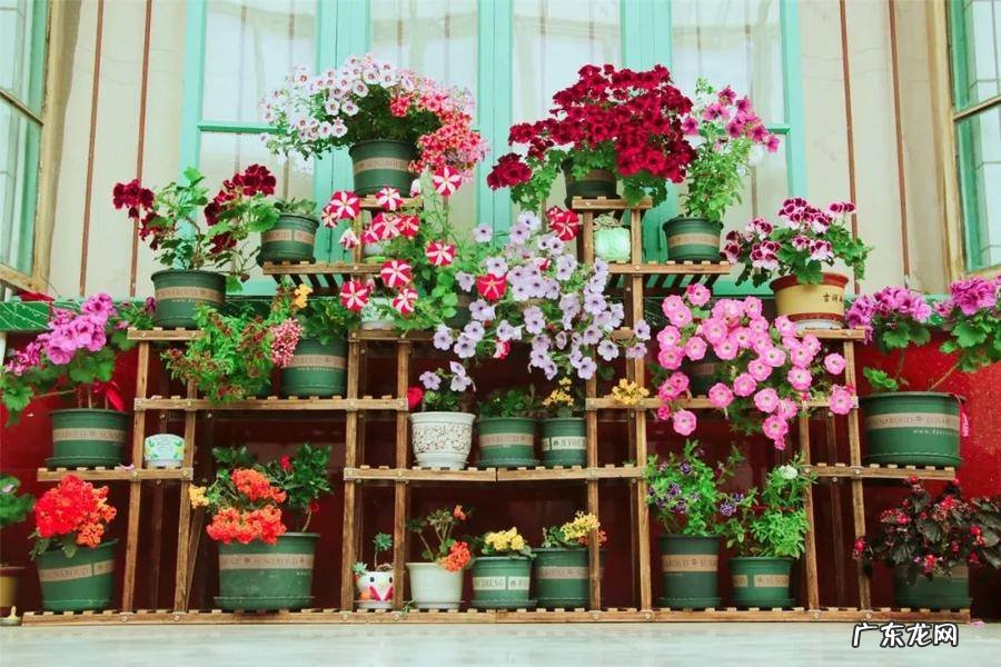 日照市东港区医院 日照东港区算命哪里准