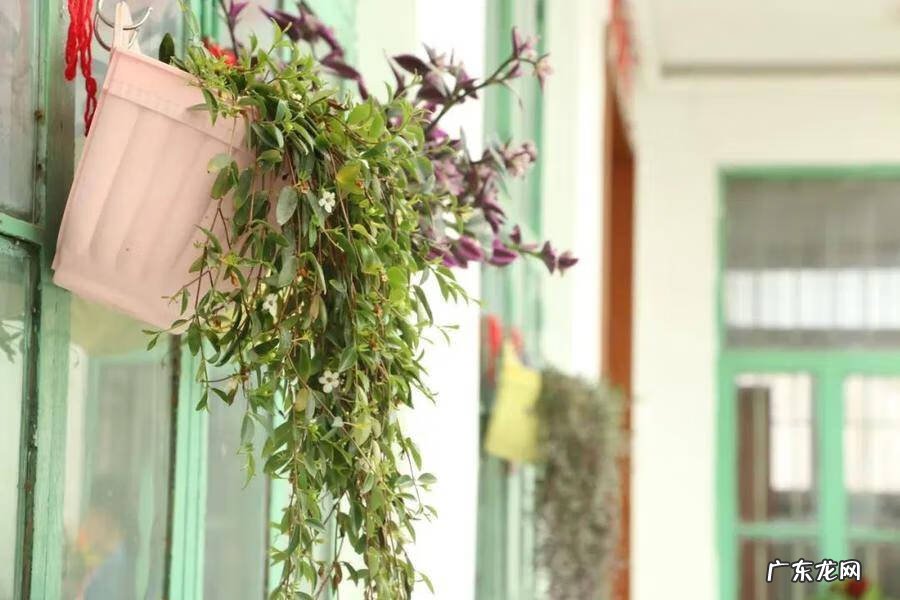 日照市东港区医院 日照东港区算命哪里准