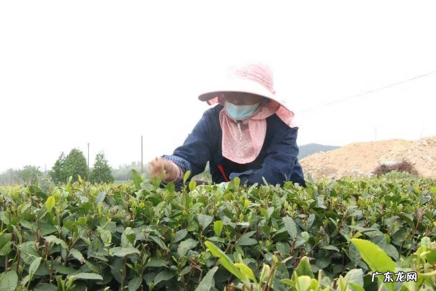 日照市东港区医院 日照东港区算命哪里准