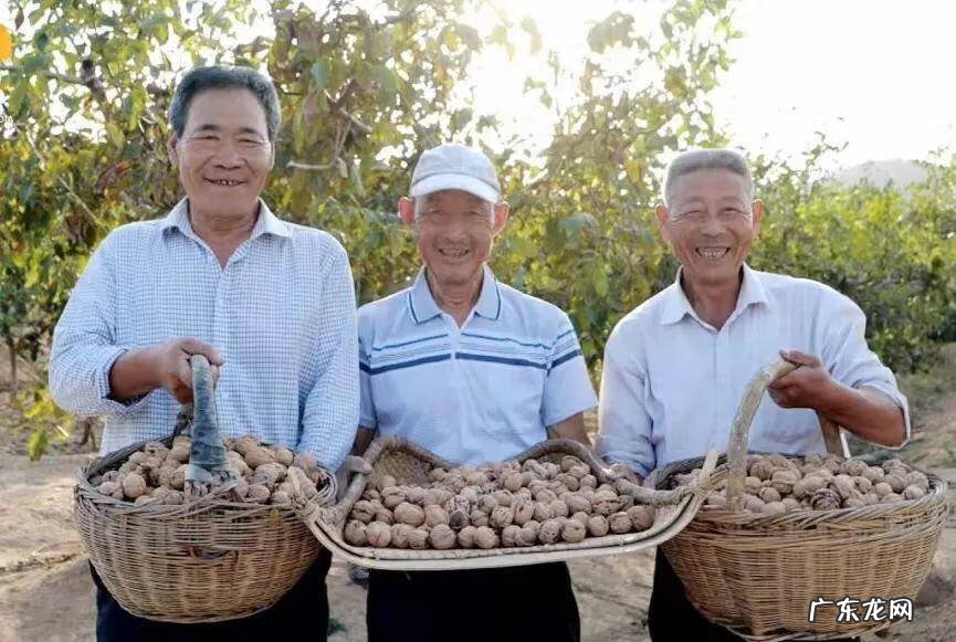 日照市东港区医院 日照东港区算命哪里准
