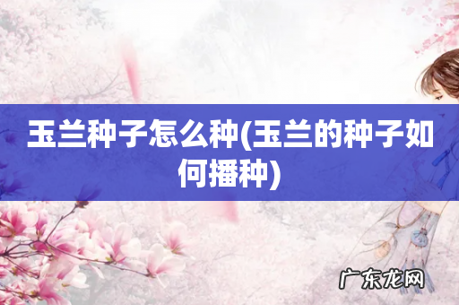 玉兰的种子如何播种 玉兰种子怎么种