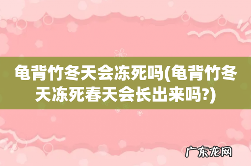 龟背竹冬天冻死春天会长出来吗? 龟背竹冬天会冻死吗