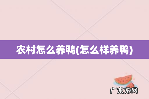 怎么样养鸭 农村怎么养鸭