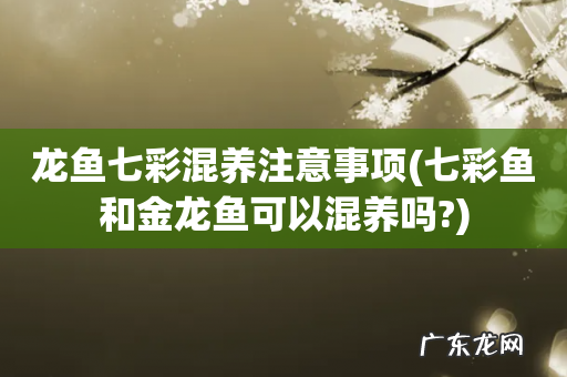七彩鱼和金龙鱼可以混养吗? 龙鱼七彩混养注意事项