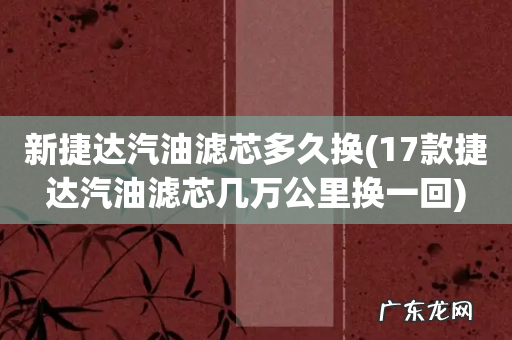 17款捷达汽油滤芯几万公里换一回 新捷达汽油滤芯多久换