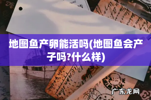 地图鱼会产子吗?什么样 地图鱼产卵能活吗