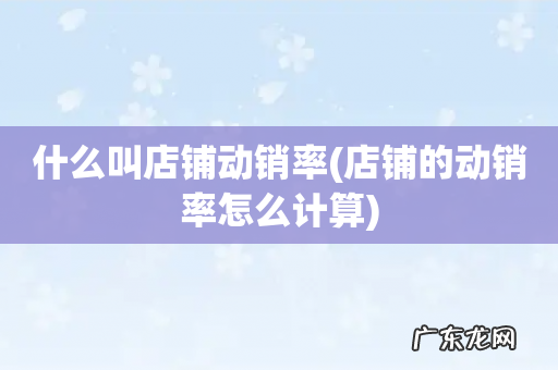 店铺的动销率怎么计算 什么叫店铺动销率