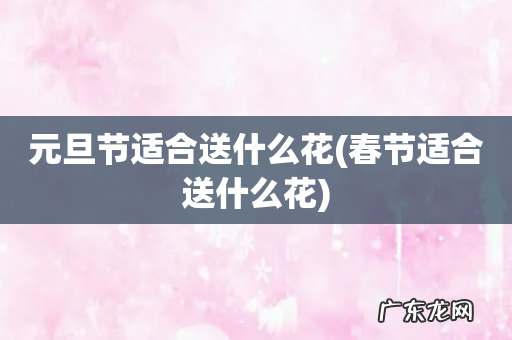 春节适合送什么花 元旦节适合送什么花