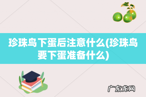 珍珠鸟要下蛋准备什么 珍珠鸟下蛋后注意什么