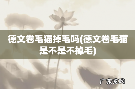 德文卷毛猫是不是不掉毛 德文卷毛猫掉毛吗