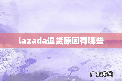 lazada退货原因有哪些