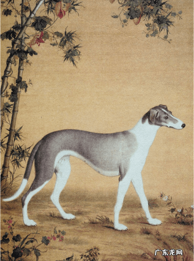 十二守护神 守护神是什么意思