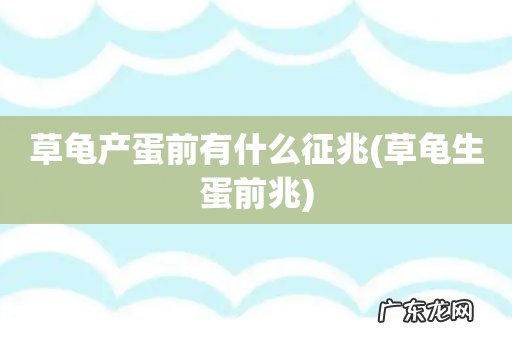 草龟生蛋前兆 草龟产蛋前有什么征兆