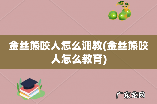 金丝熊咬人怎么教育 金丝熊咬人怎么调教