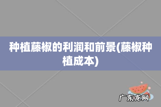 藤椒种植成本 种植藤椒的利润和前景