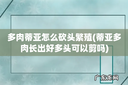 蒂亚多肉长出好多头可以剪吗 多肉蒂亚怎么砍头繁殖