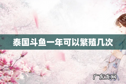 泰国斗鱼一年可以繁殖几次