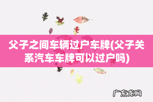 父子关系汽车车牌可以过户吗 父子之间车辆过户车牌