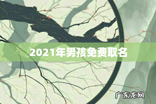 2021年男孩免费取名